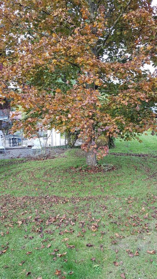 Hotel Kamps Ehrstädt Exteriör bild