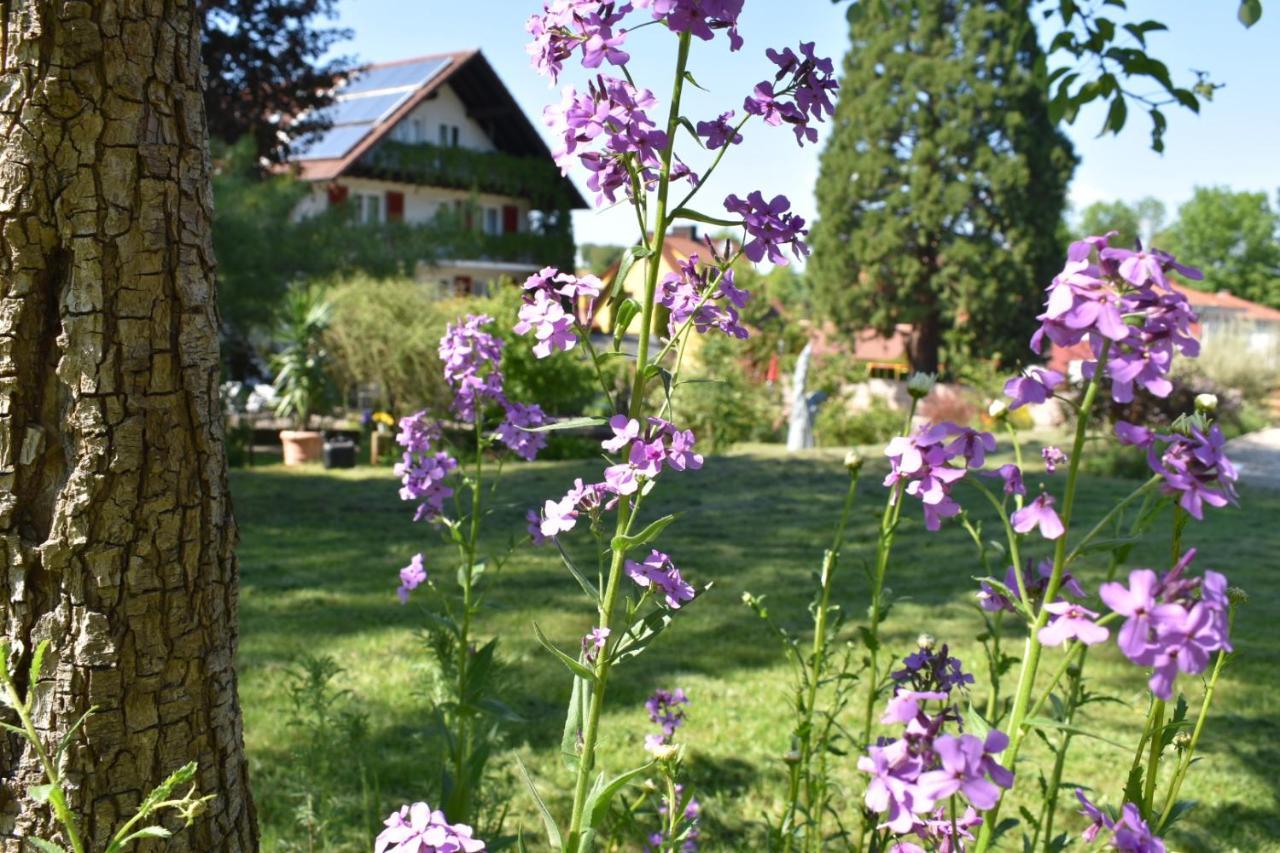 Hotel Kamps Ehrstädt Exteriör bild